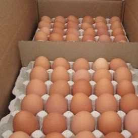 I want to buy egg