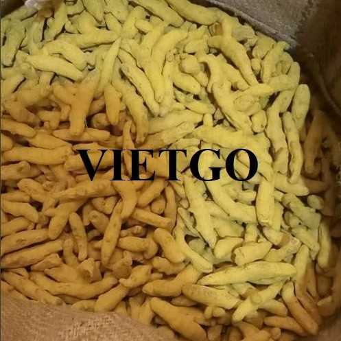 Thương vụ hợp tác xuất khẩu nghệ khô sang thị trường Ấn Độ