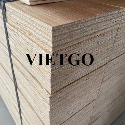 Thương vụ xuất khẩu sản phẩm gỗ dán LVL đến thị trường Hàn Quốc