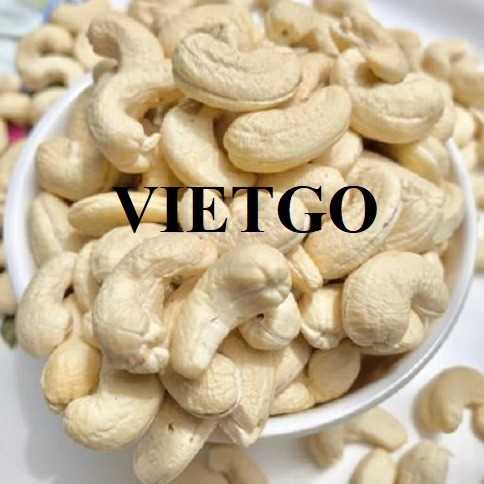 Cơ hội hợp tác xuất khẩu hạt điều sang thị trường Pakistan