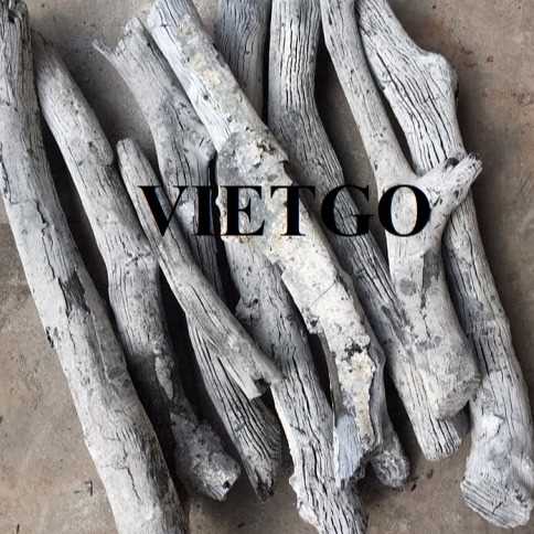 Cơ hội xuất khẩu than trắng tới Hàn Quốc  