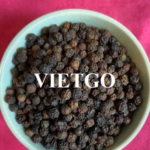Cơ hội xuất khẩu hạt tiêu đen sang thị trường Ấn Độ