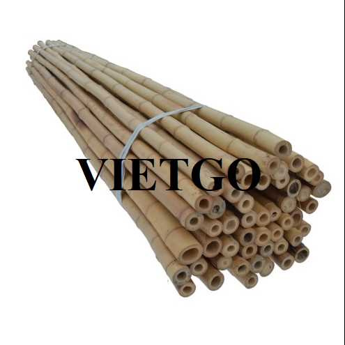 Cơ hội xuất khẩu gậy tre sang thị trường Ấn Độ