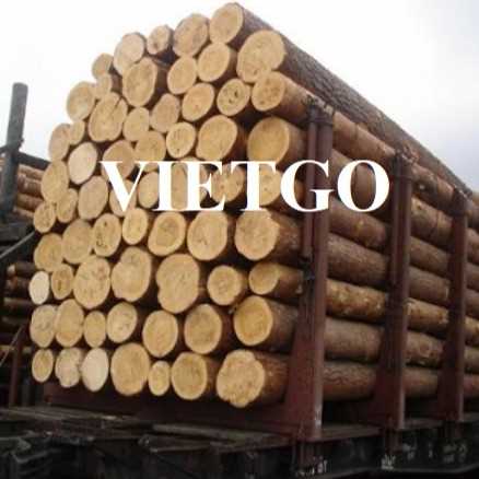 Thương vụ xuất khẩu gỗ thông tròn sang thị trường Ấn Độ