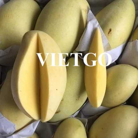 Cơ hội xuất khẩu xoài keo vàng đến thị trường Thái Lan