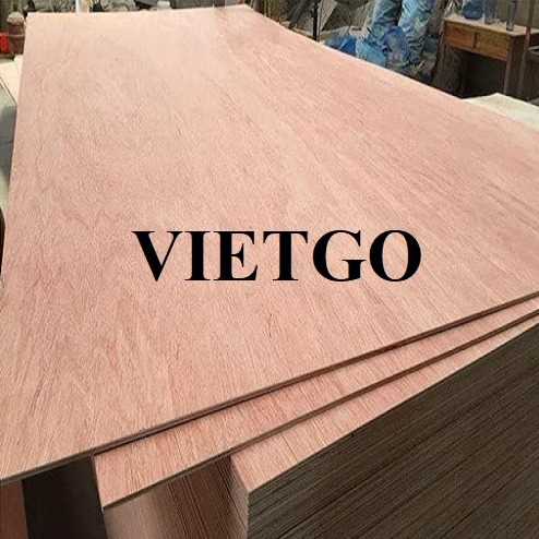 Thương vụ xuất khẩu gỗ dán đến thị trường Ấn Độ 