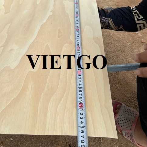 Thương vụ xuất khẩu ván bóc sang thị trường Ấn Độ