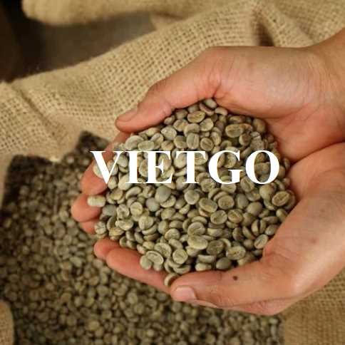 Thương vụ xuất khẩu cà phê Robusta sang thị trường Trung Quốc