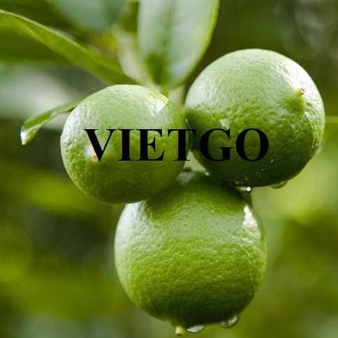 Cơ hội hợp tác xuất khẩu chanh đến thị trường Lào