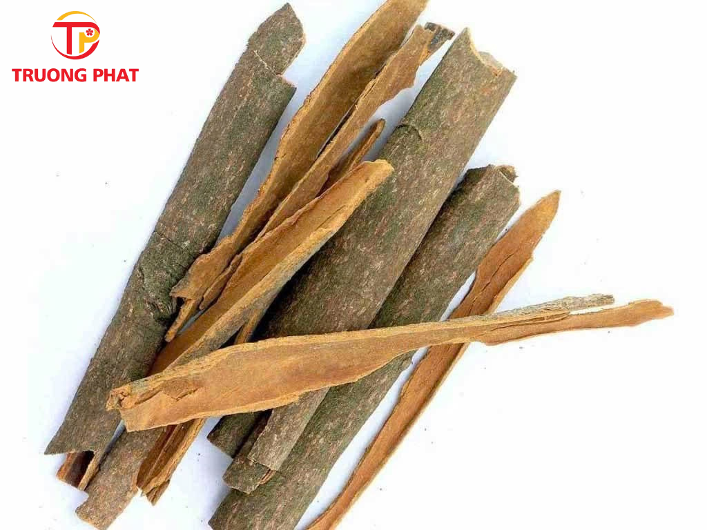 SPLIT CINNAMON