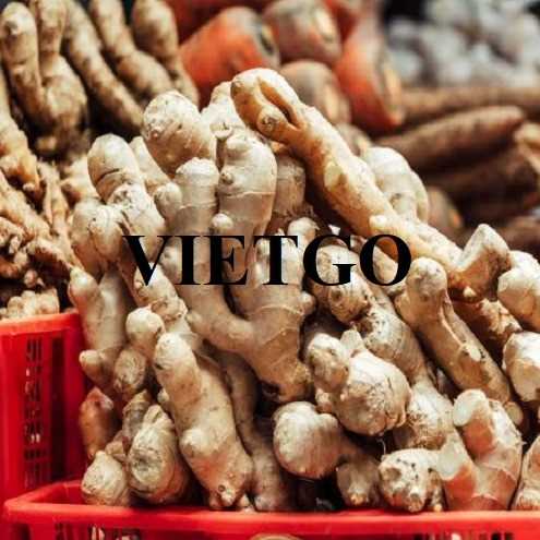 Cơ hội hợp tác xuất khẩu gừng đến thị trường Bangladesh