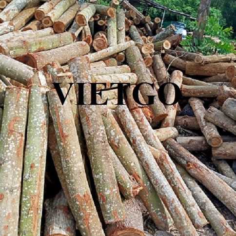 Thương vụ xuất khẩu gỗ keo tròn đến thị trường Ấn Độ 