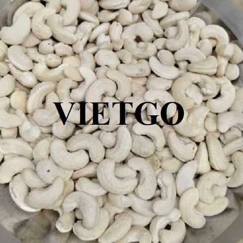 Thương vụ xuất khẩu hạt điều sang thị trường Ấn Độ