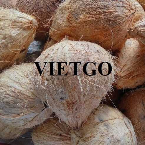 Cơ hội xuất khẩu dừa sang thị trường Thổ Nhĩ Kỳ 