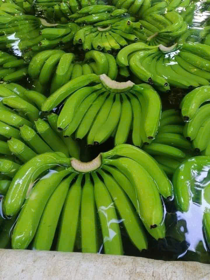 chuối