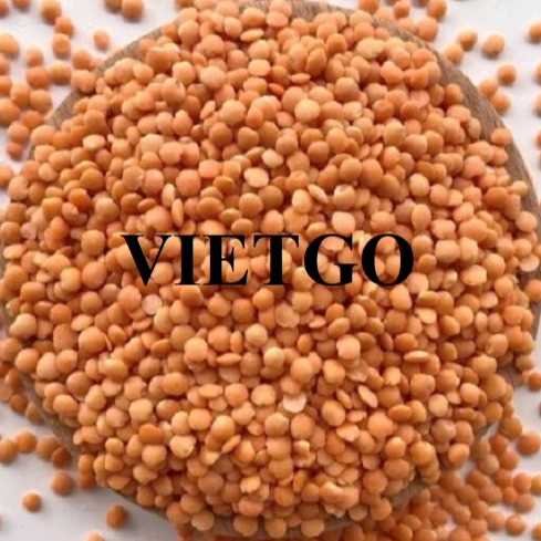 Cơ hội xuất khẩu đậu lăng đỏ sang thị trường Bangladesh