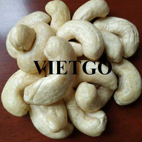 Cơ hội hợp tác xuất khẩu hạt điều đến thị trường Ấn Độ  