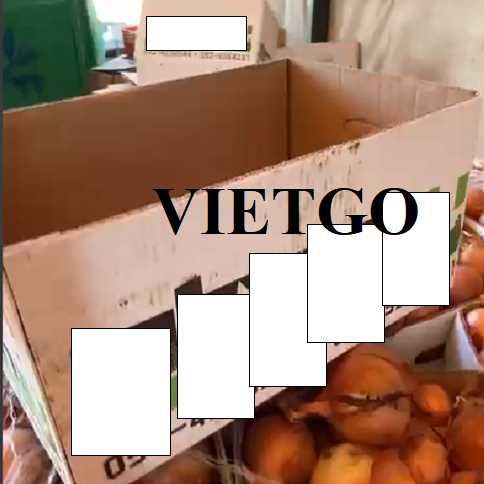Thương vụ xuất khẩu thùng giấy đến thị trường Israel