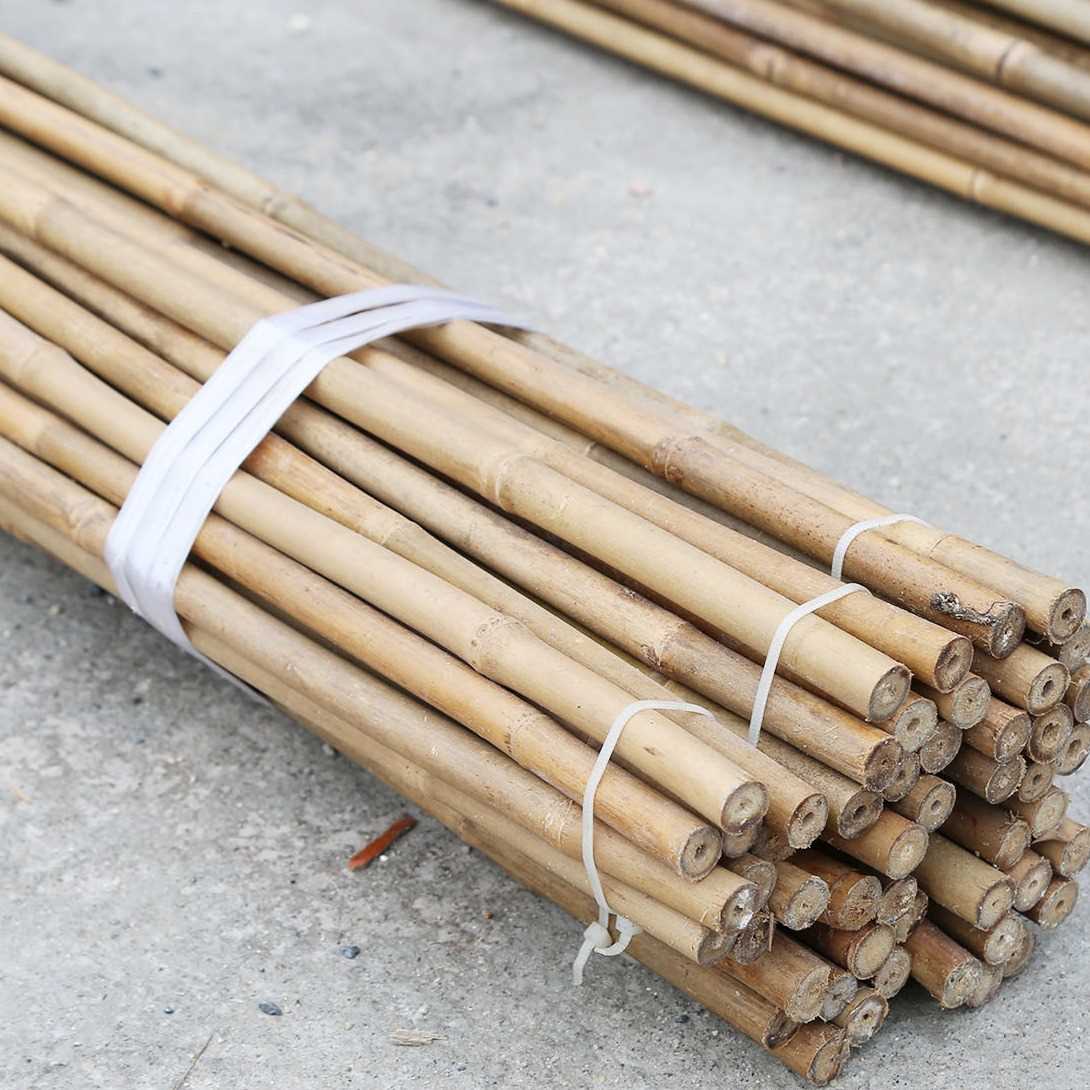i need bamboo pole