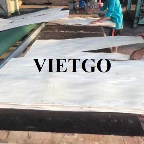 Thương vụ xuất khẩu ván bóc cao su sang thị trường Ai Cập