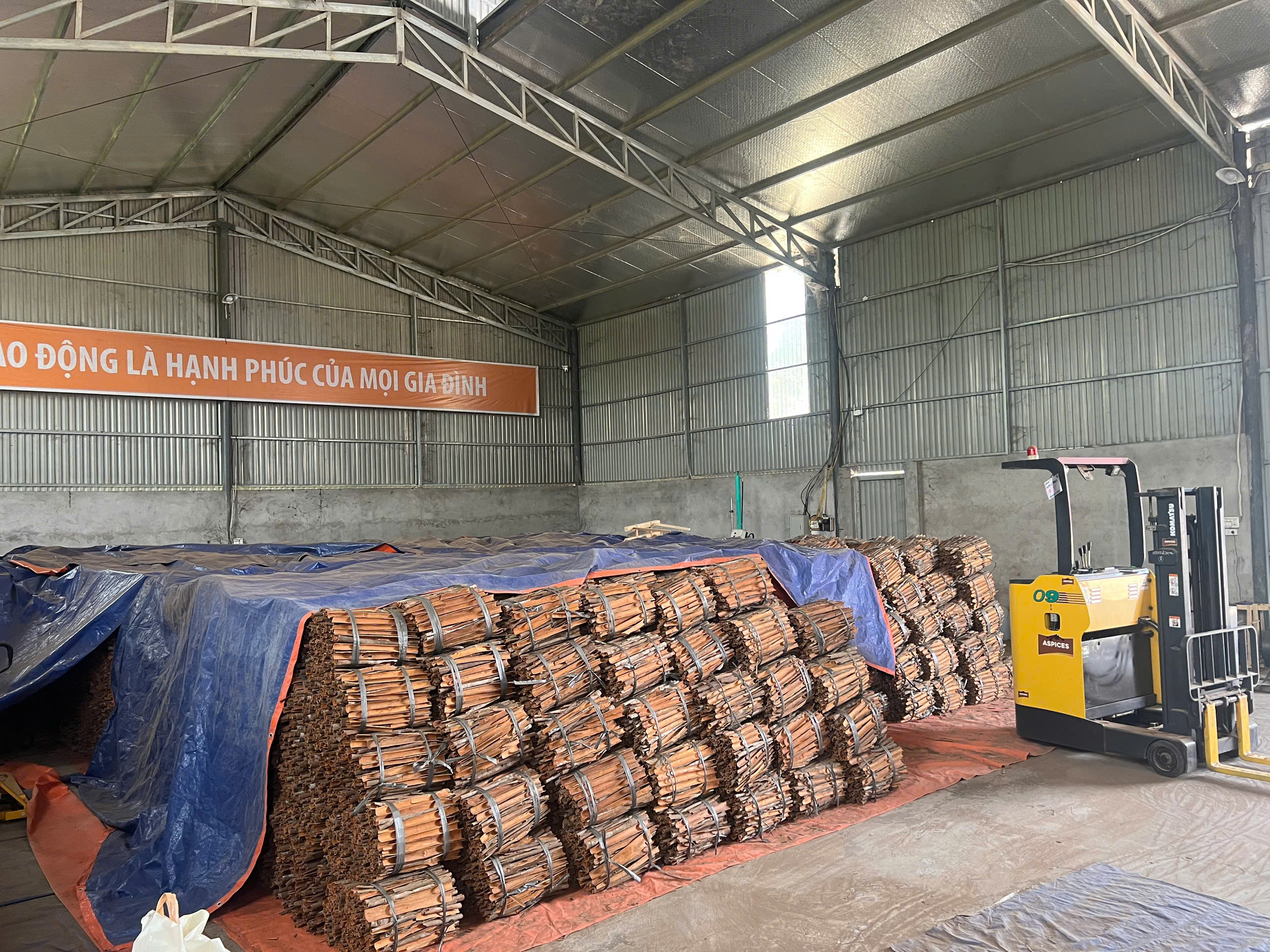Cần tìm FWD báo giá cước vận tải hàng quế đi Ấn Độ