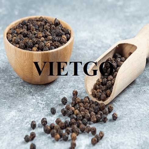 Cơ hội hợp tác xuất khẩu hạt tiêu đến thị trường Ấn Độ 