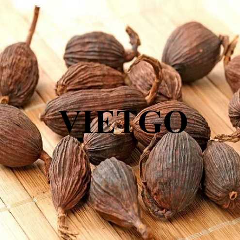 Cơ hội hợp tác xuất khẩu thảo quả đến thị trường Ấn Độ 