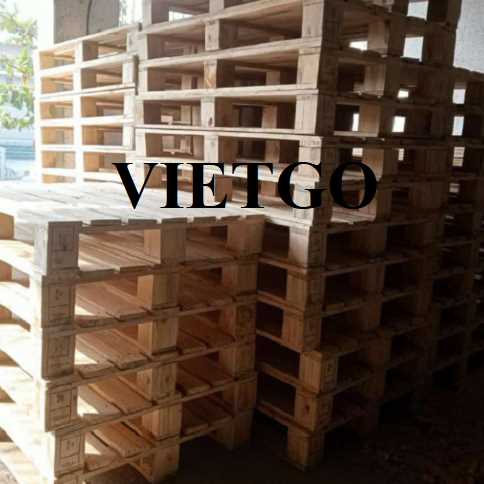 Thương vụ xuất khẩu pallet gỗ đến thị trường Hà Lan 