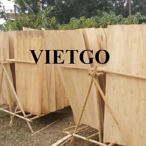 Thương vụ xuất khẩu ván bóc đến thị trường Ấn Độ 