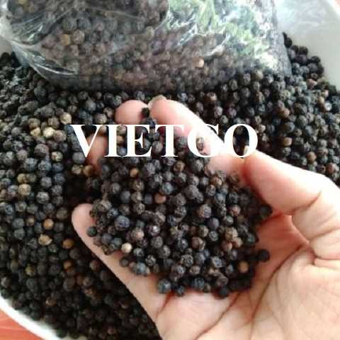 (Gấp) Cơ hội xuất khẩu hạt tiêu đen sang thị trường Ấn Độ