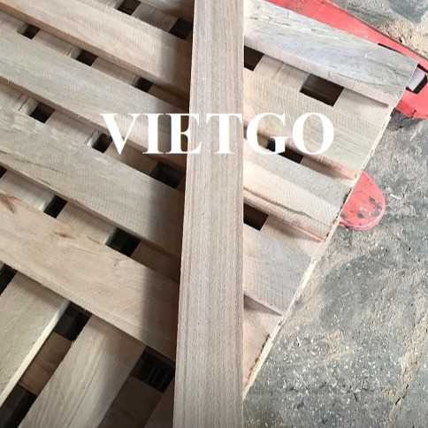 Thương vụ xuất khẩu gỗ bạch đàn xẻ sang thị trường Thổ Nhĩ Kỳ