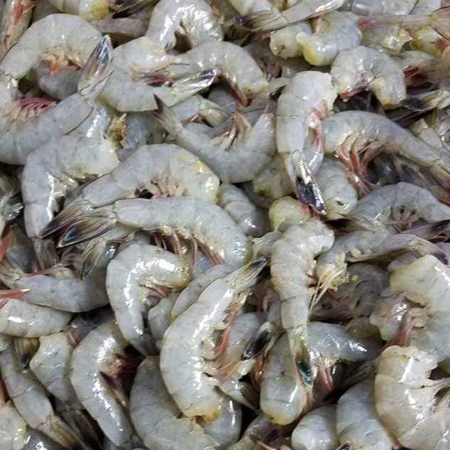 i need shrimp