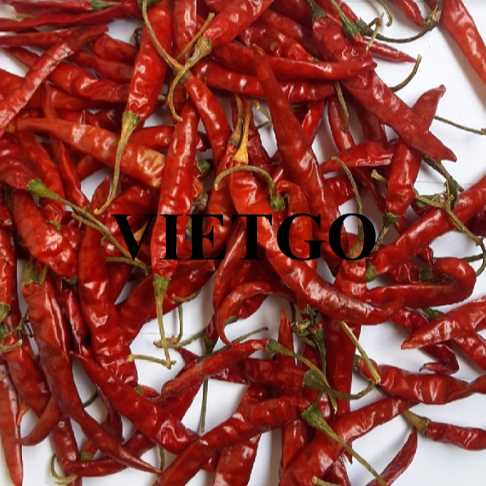 Cơ hội hợp tác xuất khẩu ớt đến thị trường Anh   