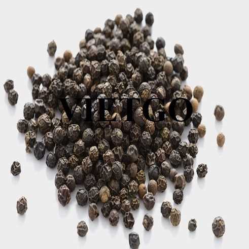 Cơ hội hợp tác xuất khẩu hạt tiêu đến thị trường Pakistan