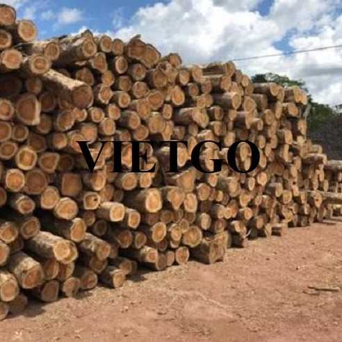 Thương vụ xuất khẩu gỗ teak tròn sang thị trường Trung Quốc