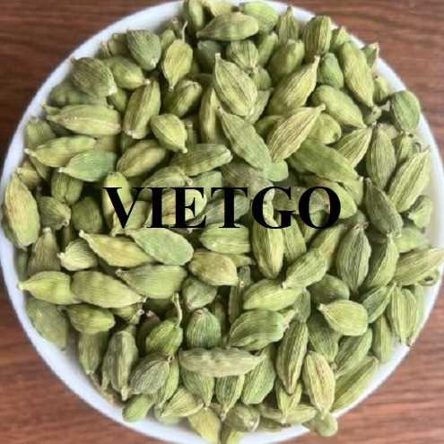 Cơ hội xuất khẩu thảo quả xanh sang thị trường Ấn Độ