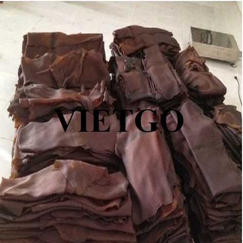 Thương vụ xuất khẩu mủ cao su đến thị trường Ấn Độ