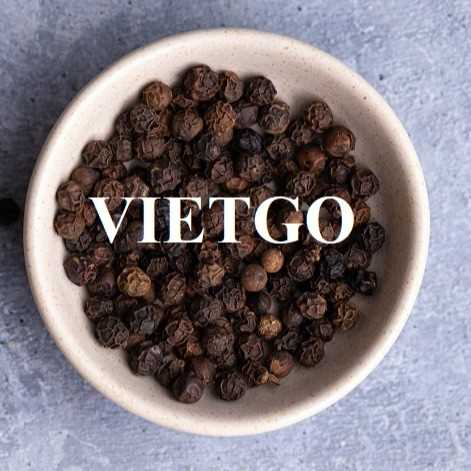 Cơ hội xuất khẩu hạt tiêu đen sang thị trường Ấn Độ