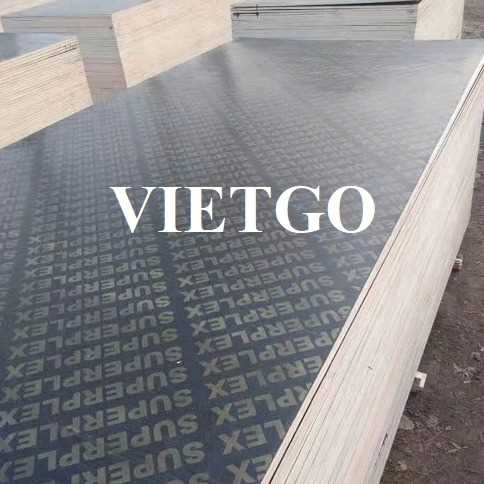 Thương vụ xuất khẩu gỗ dán đến thị trường Thổ Nhĩ Kỳ