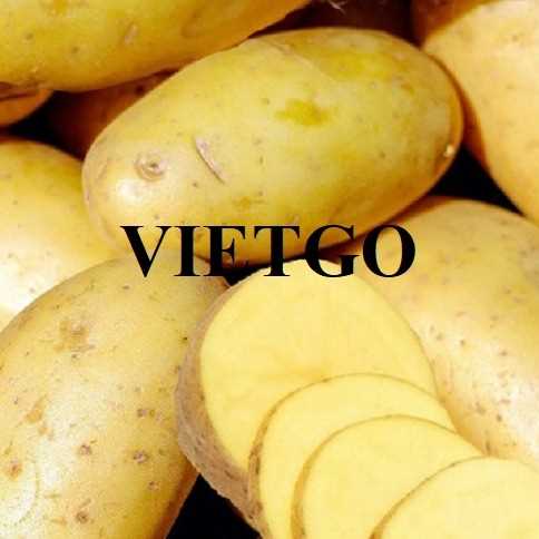 Cơ hội giao thương xuất khẩu khoai tây sang thị trường Vanuatu
