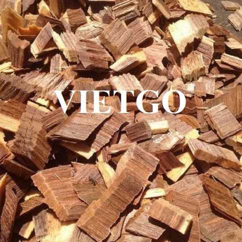 Thương vụ xuất khẩu gỗ vụn sang thị trường Malaysia