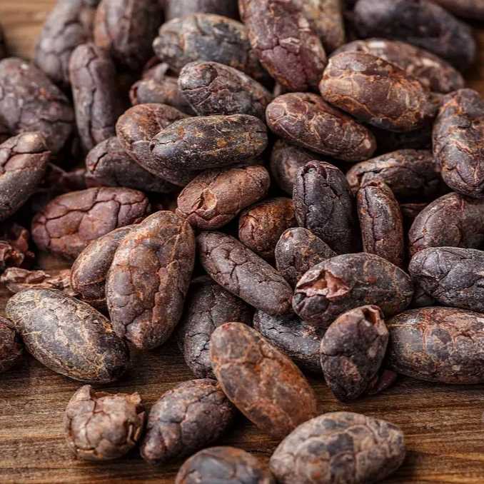 i need cacao bean
