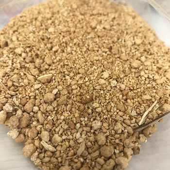 Soybean Meal – High-Protein Nutrition for Asia’s Livestock Industry