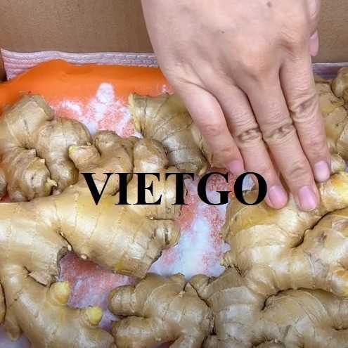 Cơ hội hợp tác xuất khẩu gừng đến thị trường Singapore 