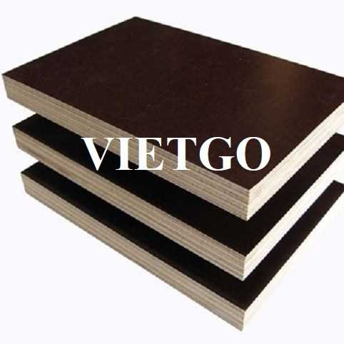 Thương vụ xuất khẩu gỗ dán phủ phim đến thị trường Thổ Nhĩ Kỳ