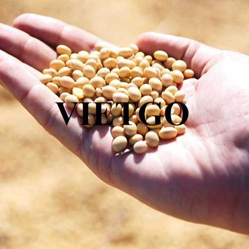 Cơ hội hợp tác xuất khẩu đậu nành sang thị trường Hàn Quốc