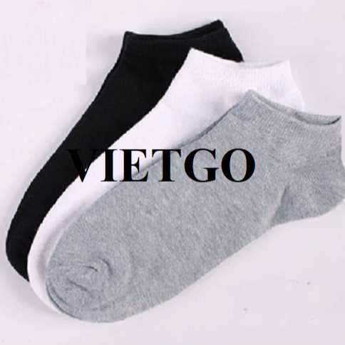 Cơ hội xuất khẩu bít tất sang thị trường Vương quốc Anh