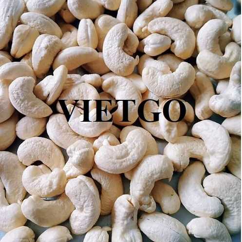 Cơ hội xuất khẩu hạt điều nhân trắng w320 sang thị trường Bangladesh