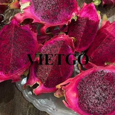 Cơ hội xuất khẩu thanh long sang thị trường Ấn Độ