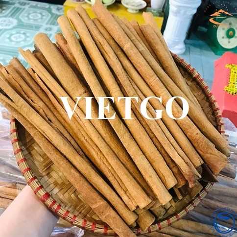 Cơ hội hợp tác xuất khẩu quế đến thị trường Ấn Độ 
